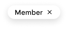 Member filter
