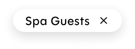Spa filter